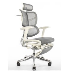 Ортопедическое кресло руководителя Expert Fly с подножкой, серый каркас, сетка серая фото 1