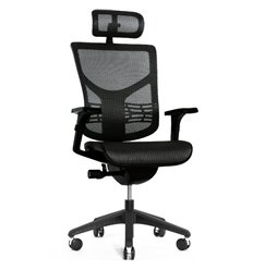 Ортопедическое кресло Expert Vista черный каркас, сетка черная фото 1