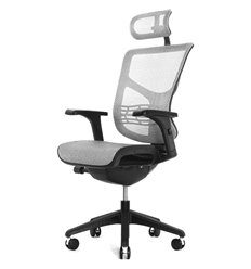 Ортопедическое кресло Expert Vista черный каркас, сетка белая фото 1
