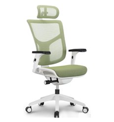 Ортопедическое кресло Expert Vista белый каркас, сетка зеленая фото 1