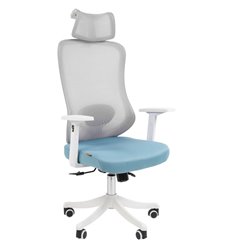 Эргономичное кресло для руководителя CHAIRMAN CH563 белый пластик, бирюзовый фото 1