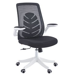 Кресло компьютерное CHAIRMAN CH565 белый пластик, черный фото 1