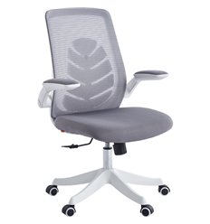 Кресло для руководителя CHAIRMAN CH565 белый пластик, серый фото 1