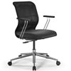 ErgoLife Sit 8 M4-9 (B23) - X2+Extra черный, хром, с подлокотниками фото 5