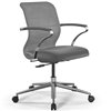 ErgoLife Sit 8 M4-9 (B23) - X2+Extra серый, хром, с подлокотниками фото 1