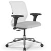 ErgoLife Sit 8 M4-9 (B23) - X2+Extra белый, хром, с подлокотниками фото 9