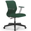 ErgoLife Sit 8 Mr4-4 (B02) - Vivaldi зеленый, пластик, с подлокотниками фото 1