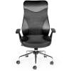 Кресло NORDEN Direct Lux для руководителя, сетка, ткань, экокожа, цвет черный фото 2