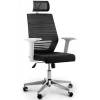 Кресло NORDEN Prestige White Full Black для руководителя, белый пластик, черная сетка, черная ткань фото 1