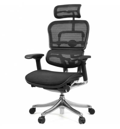 Кресло Comfort Seating Ergohuman Plus Black для руководителя, эргономичное, сетка, цвет черный