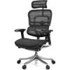 Кресло Comfort Seating Ergohuman Plus Black для руководителя, эргономичное, сетка, цвет черный фото 1