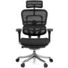 Кресло Comfort Seating Ergohuman Plus Black для руководителя, эргономичное, сетка, цвет черный фото 2