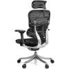 Кресло Comfort Seating Ergohuman Plus Black для руководителя, эргономичное, сетка, цвет черный фото 7