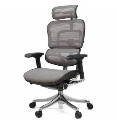 Кресло Comfort Seating Ergohuman Plus Gray для руководителя, эргономичное, сетка, цвет серый
