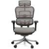 Кресло Comfort Seating Ergohuman Plus Gray для руководителя, эргономичное, сетка, цвет серый фото 2