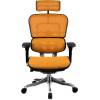 Кресло Comfort Seating Ergohuman Plus Orange для руководителя, эргономичное, сетка, цвет оранжевый фото 2