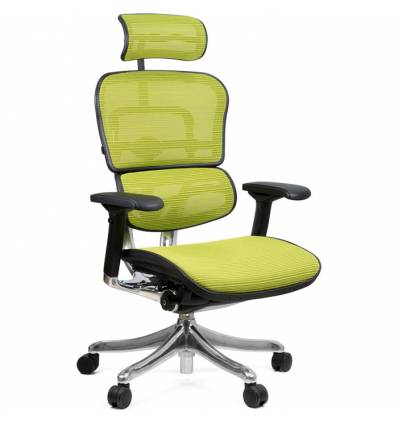 Кресло Comfort Seating Ergohuman Plus Green для руководителя, эргономичное, сетка, цвет зеленый