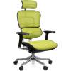 Кресло Comfort Seating Ergohuman Plus Green для руководителя, эргономичное, сетка, цвет зеленый