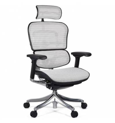 Кресло Comfort Seating Ergohuman Plus White для руководителя, эргономичное, сетка, цвет белый