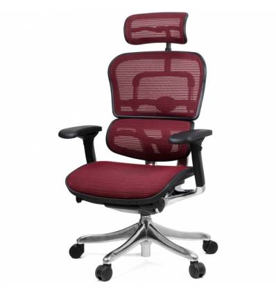 Кресло Comfort Seating Ergohuman Plus Bordo для руководителя, эргономичное, сетка, цвет бордовый