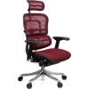 Кресло Comfort Seating Ergohuman Plus Bordo для руководителя, эргономичное, сетка, цвет бордовый фото 2