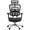 Кресло Comfort Seating Ergohuman Plus Black для руководителя, эргономичное, сетка/ткань, цвет черный фото 2