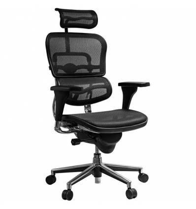 Кресло Comfort Seating Ergohuman Standart Black для руководителя, эргономичное, сетка, цвет черный
