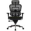 Кресло Comfort Seating Ergohuman Standart Black для руководителя, эргономичное, сетка, цвет черный фото 2