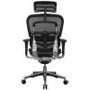 Кресло Comfort Seating Ergohuman Standart Black для руководителя, эргономичное, сетка, цвет черный фото 3