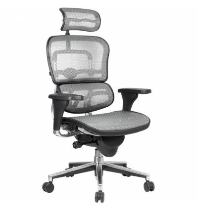 Кресло Comfort Seating Ergohuman Standart Grey для руководителя, эргономичное, сетка, цвет серый