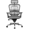 Кресло Comfort Seating Ergohuman Standart Grey для руководителя, эргономичное, сетка, цвет серый фото 2
