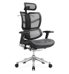 Кресло DUOREST Expert Fly для руководителя, ортопедическое, цвет черный