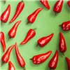 TETCHAIR MELODY ткань/флок, олива/Botanica pepper фото 10