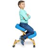 Smartstool KW02, коленный, с чехлом, ткань, цвет голубой фото 3