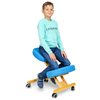 Smartstool KW02, коленный, с чехлом, ткань, цвет розовый фото 3