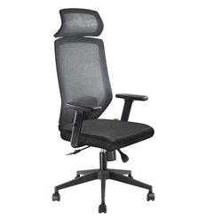 Кресло для руководителя Riva Chair A755 черное, спинка сетка фото 1