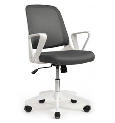 Компьютерное кресло RV DESIGN W-158 белый пластик, серая сетка фото 1