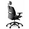 Кресло DUOREST Alpha A80H для руководителя, ортопедическое, цвет черный фото 3